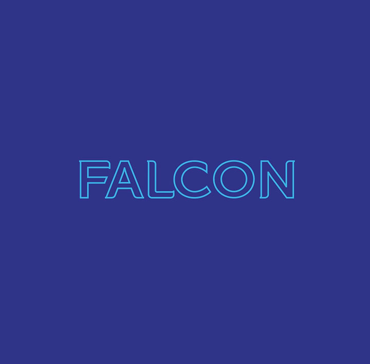 Falcon Project image 158